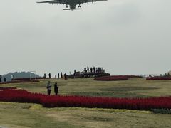-空港花田景区
