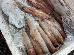 -霞涌市场海鲜摆卖区