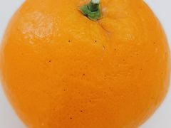 -东园小馆·早茶·淮扬小炒(水街店)