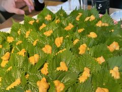 -初花·日本料理