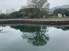 -八大山人梅湖景区