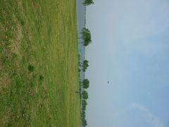 android_upload_pic-漕湖湿地公园