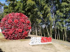 -乌石村