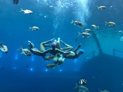 -瑞德姆美人鱼海底演艺主题餐厅(亚龙湾店)