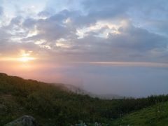 -新鞑烤羊腿(康平路店)