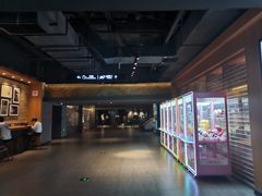 -新影联·华谊兄弟影院(望京店)