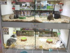 -万达广场(大明宫店)