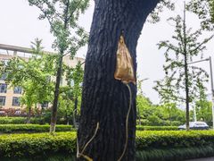 -杭州西湖银泰百货