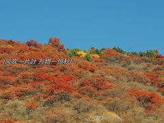 -水峪民俗村