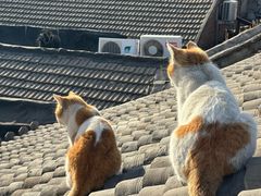 景观位-前叁門