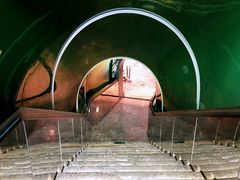 -瑞德姆美人鱼海底演艺主题餐厅(亚龙湾店)