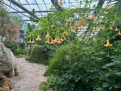 -南通洲际绿博园