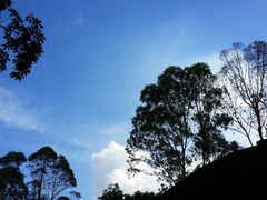 -火炉山森林公园