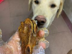 -田螺姑娘炸鸭爪(炭步店)