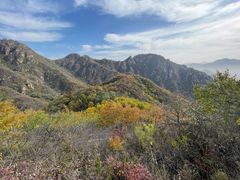 -大岭沟猕猴桃谷风景区