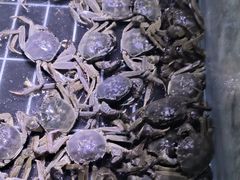 -聚盛源蒸汽海鲜火锅烤肉自助(巨川金海岸购物广场店)