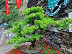 -桂林两江四湖景区