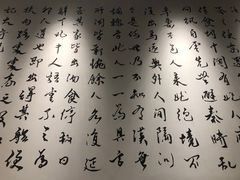 -羲和雅苑•北京烤鸭(乐园道万象城店)