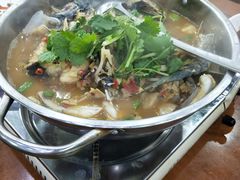 -全乐鱼馆·淳牌有机鱼直营店