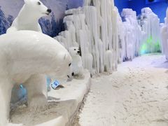 -宁波冰雪大世界(北仑区)