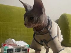 -邢大夫动物医院