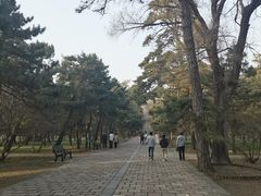 -沈阳市东陵公园
