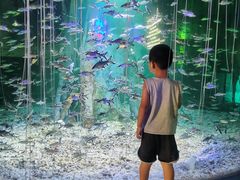 -秦皇岛乐岛海洋王国