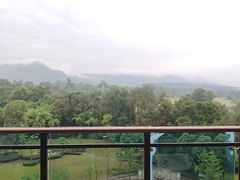 -成都蒲江花样年福朋喜来登度假酒店·宜客乐西餐厅