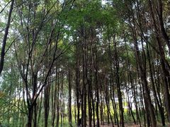 景点-贵阳市花溪国家城市湿地公园