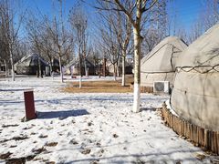 -九十九顶毡房(阜石路店)