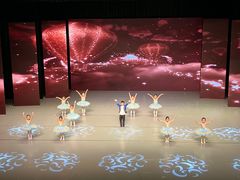 -中央芭蕾舞团·中芭艺蕾(酒仙桥明星校区)