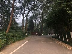 -重庆抗战遗址博物馆