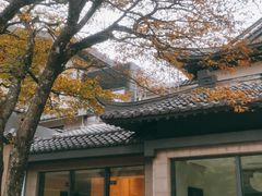 -黄山排云型旅酒店餐厅