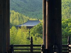 -大唐贡茶院