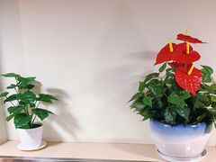 -富源春面馆(四川北路店)