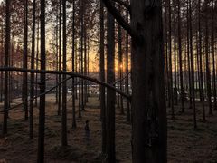 -黄海国家森林公园