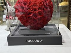 -ROSEONLY诺誓(磐基中心店)