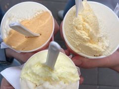 柿子Persimmons-DIP in GELATO(富民路店)