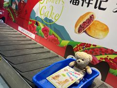-丽江三义国际机场