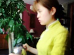-碧露轩·大益茶体验馆(镇江路店)