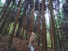-山王坪喀斯特国家生态公园