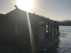 -西湖外事游船(花港观鱼码头)