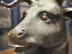 -广西壮族自治区博物馆