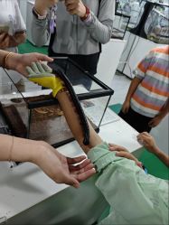 -神奇动物撸宠馆·羊驼·小浣熊·异宠(豫园店)