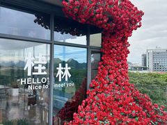-忆咖啡观景餐厅(桂林象山公园店)