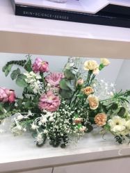 -YESIDO椰岛造型