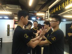 -温鉴良实用咏春拳