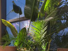 -大头椰·椰子鸡火锅(南宁万象城店)