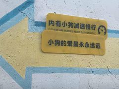 -翊宠yipet猫狗购宠庄园犬舍•猫舍