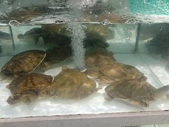 -蔚海之都·象山蒸汽海鲜(仙霞路店)